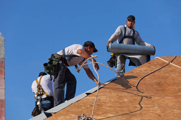 Best Storm Damage Roof Repair  in Meridian Hills, IN