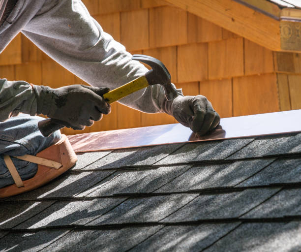 Best Roof Gutter Cleaning  in Meridian Hills, IN
